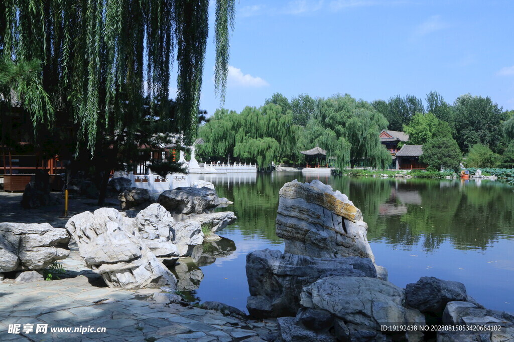 公园风景  
