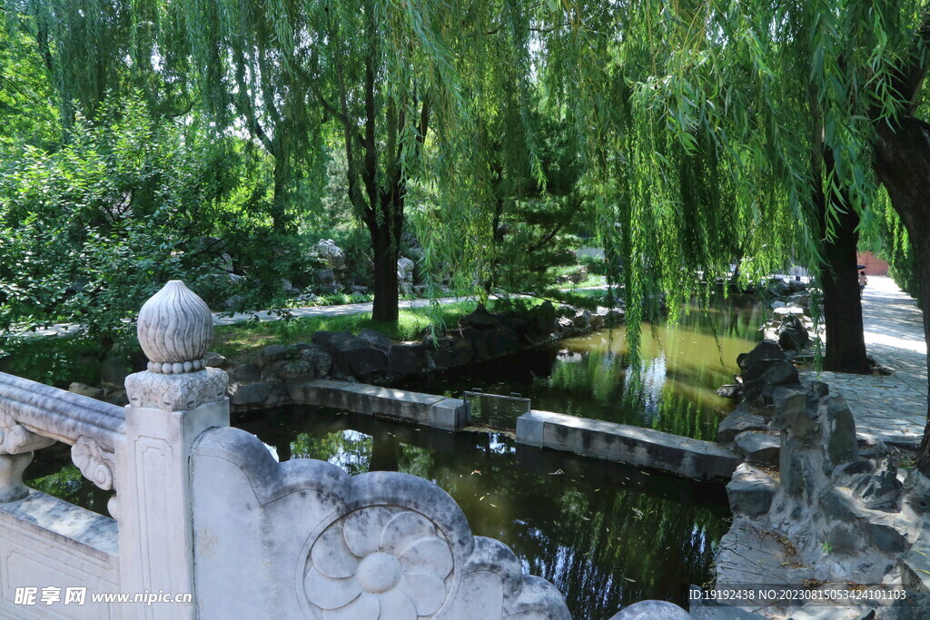 公园风景