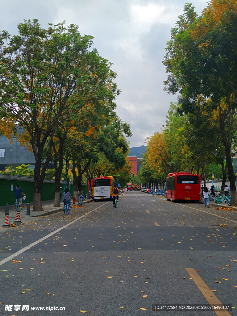 城市街景和公交车
