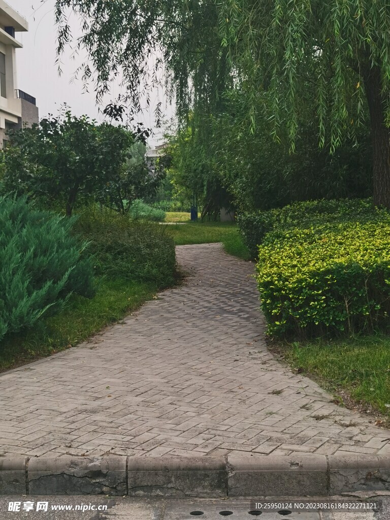 草坪