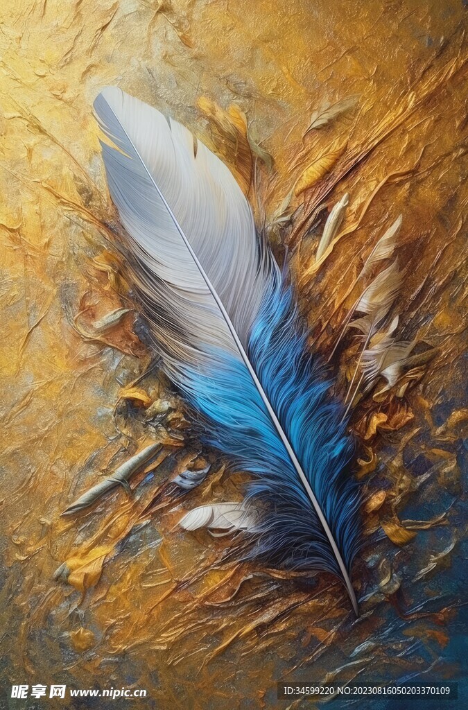 羽毛装饰画 