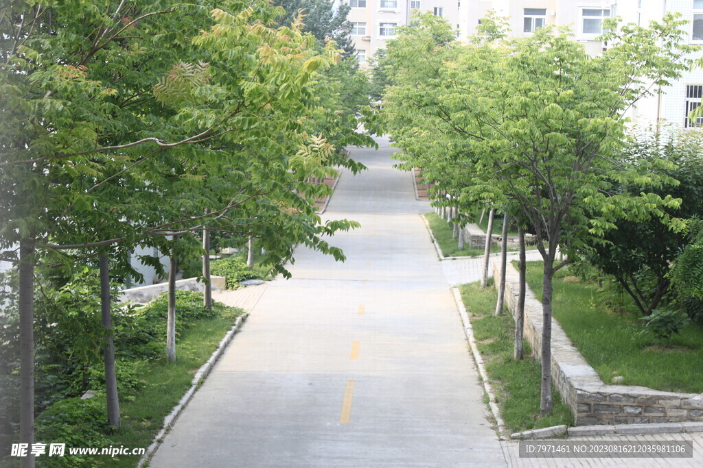 公园风景