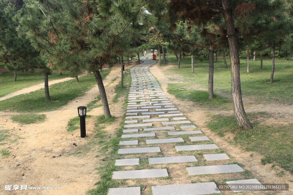 公园风景