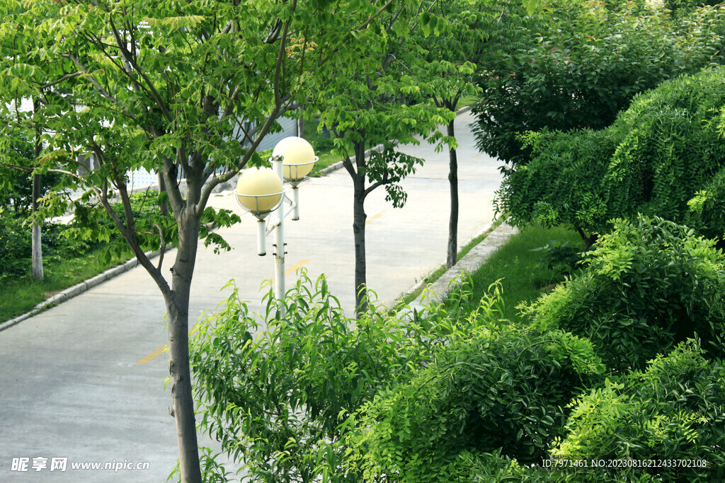 公园风景