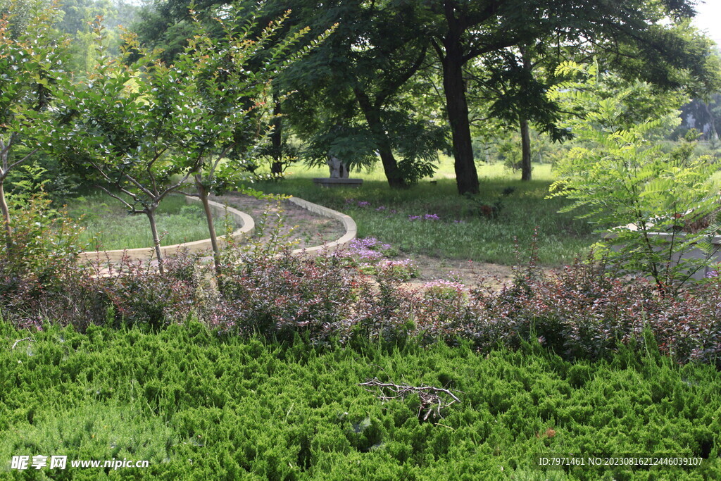 公园风景
