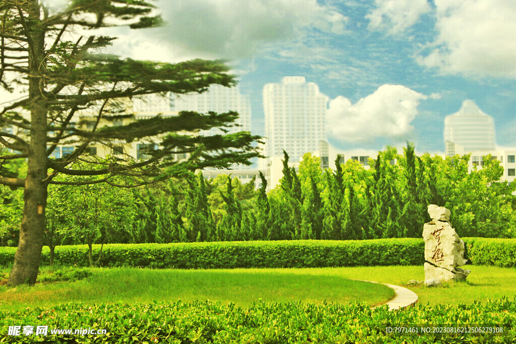 公园风景