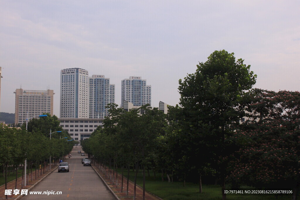 公园美景