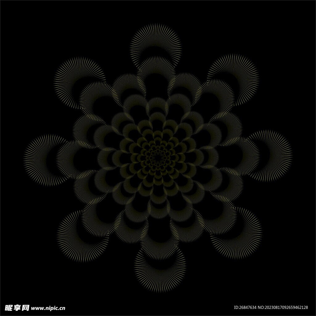 唯美花纹