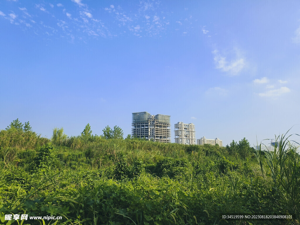 户外风景
