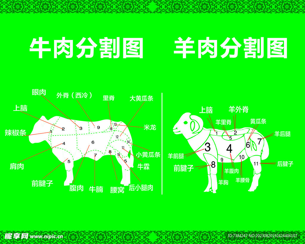牛羊肉分割图