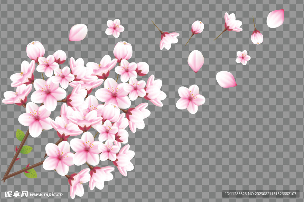 樱花插画