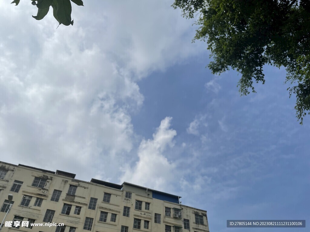 仰视天空