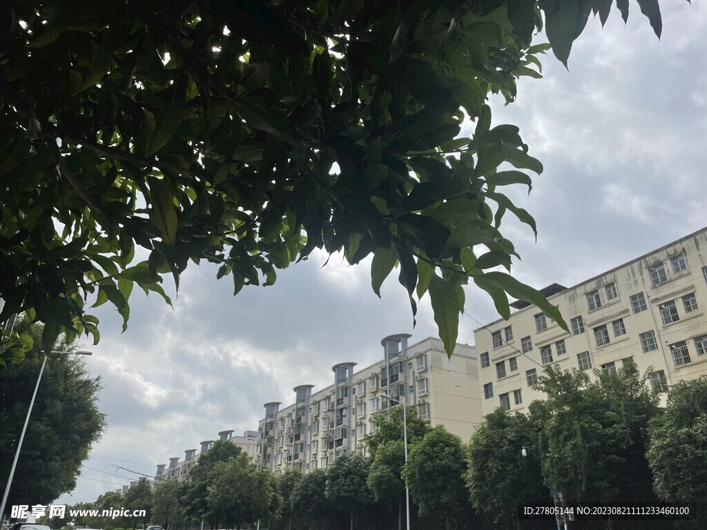 建筑物风景