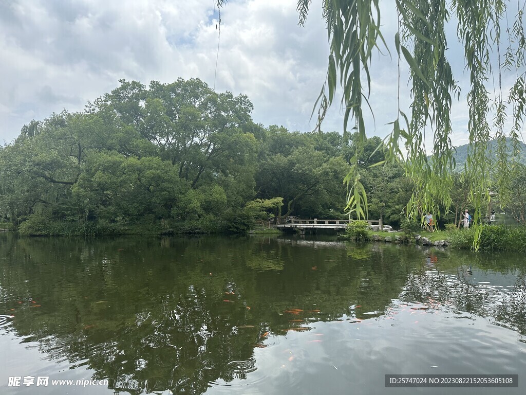 湖面树荫风景