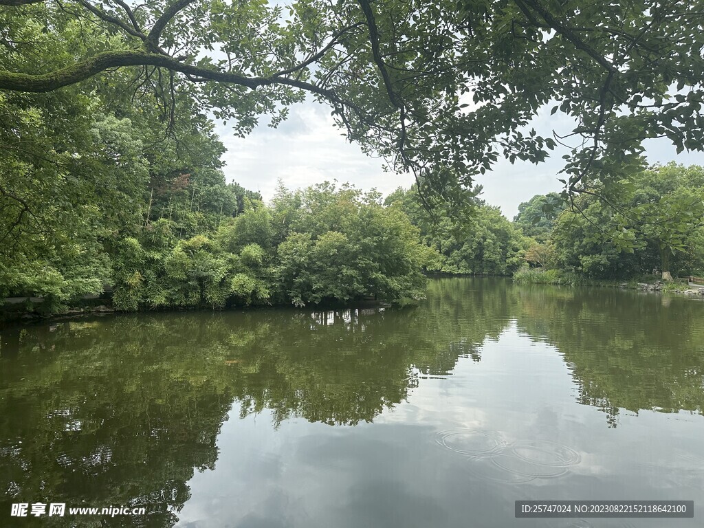 湖面林荫风景