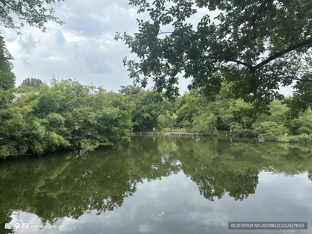 湖面林荫风景