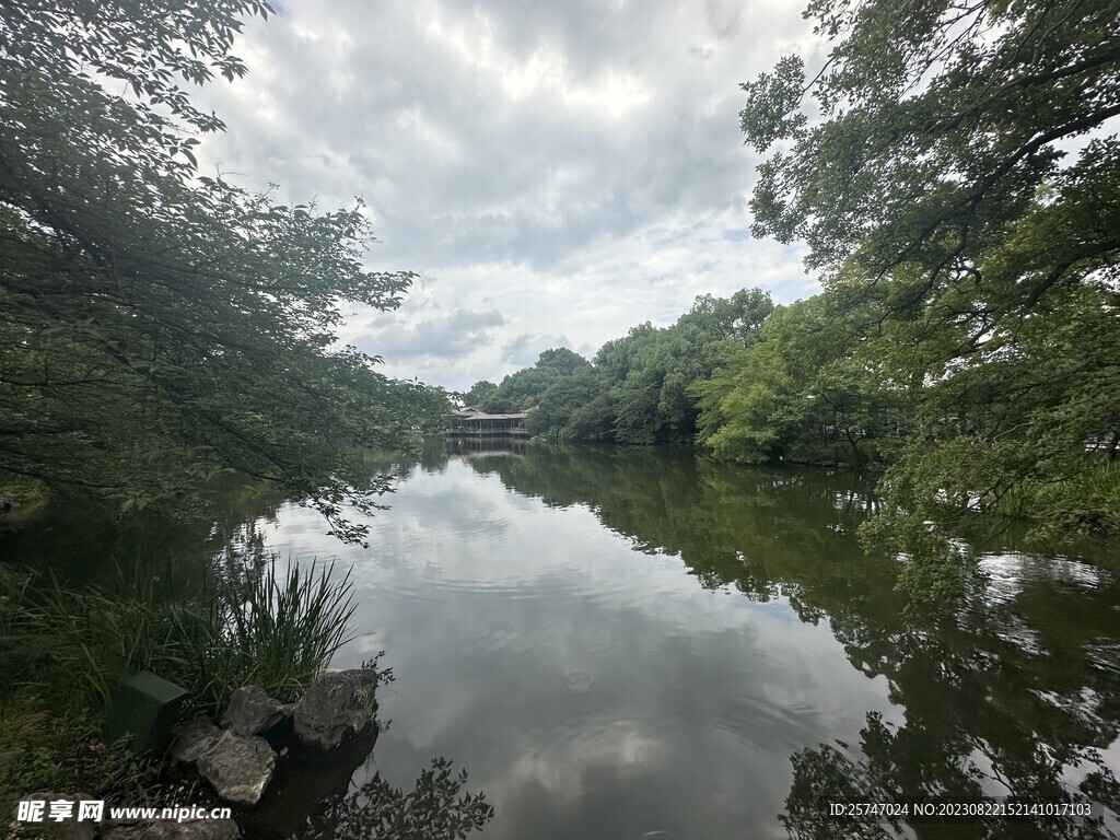 林荫湖面风景