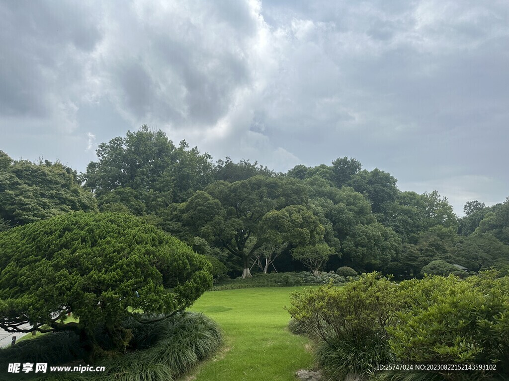 公园林荫草地风景