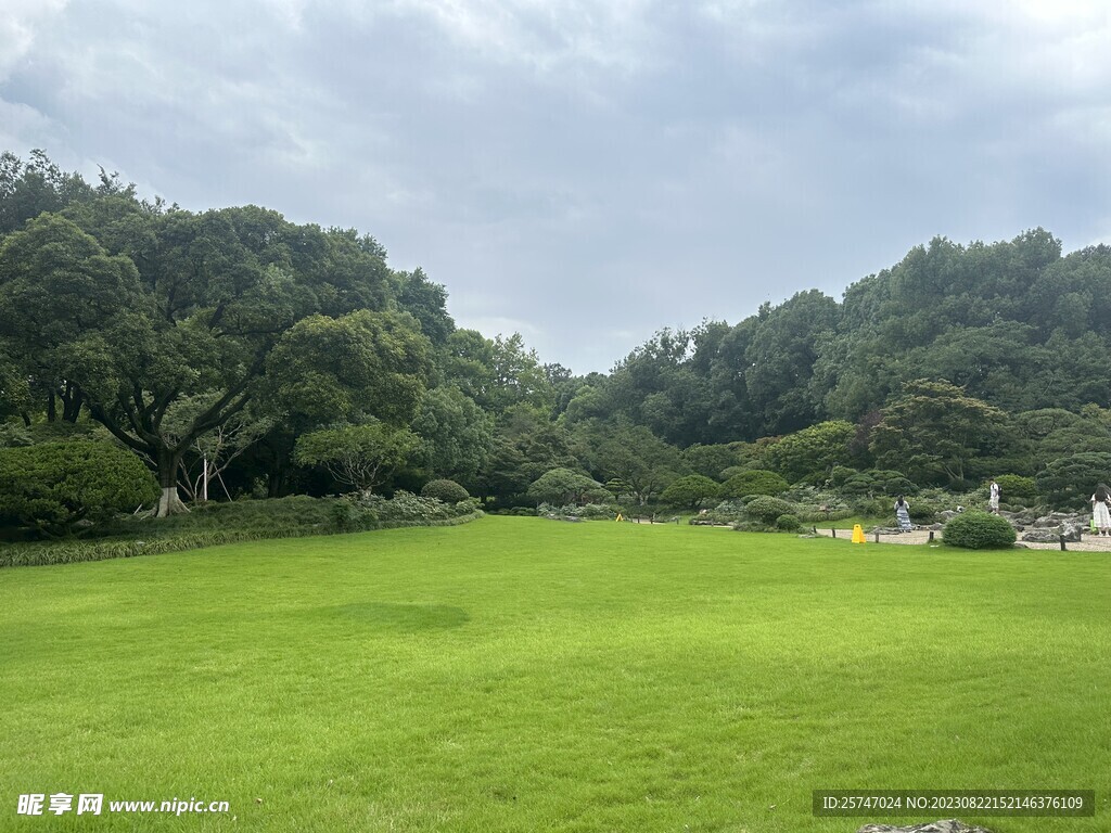 公园林荫草地