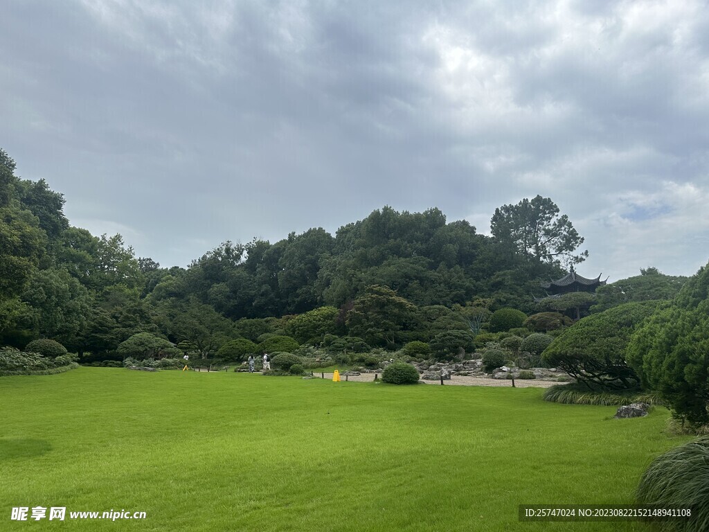 公园树荫草地
