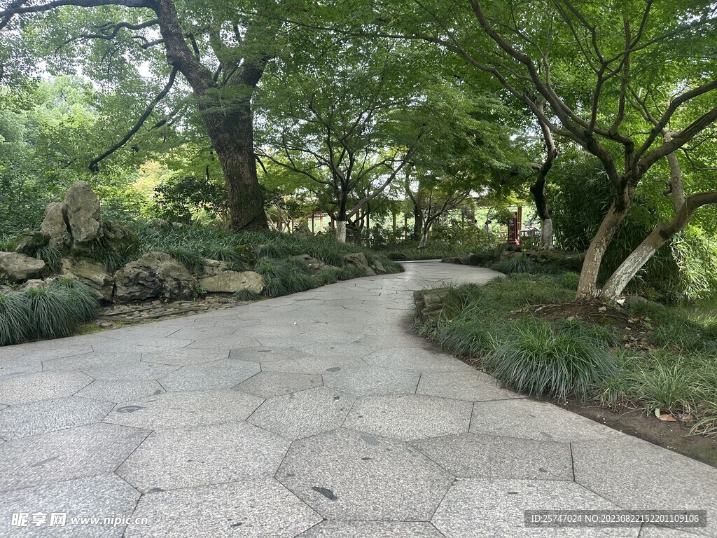 公园林荫小路