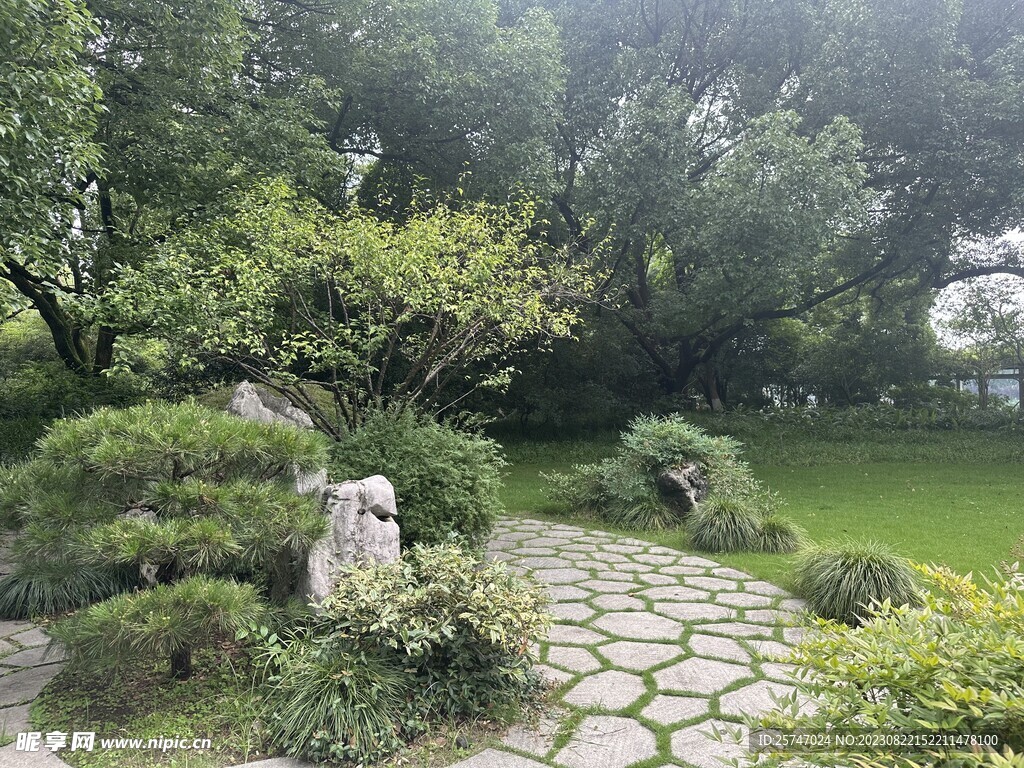 公园林荫小路风景