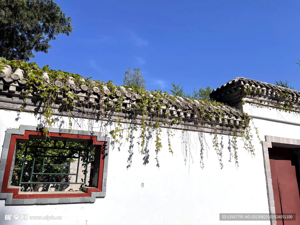 清华大学建筑