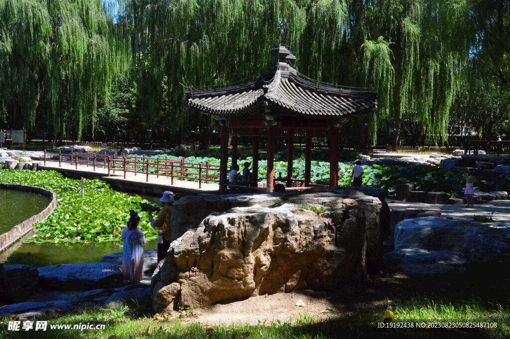 公园风景 