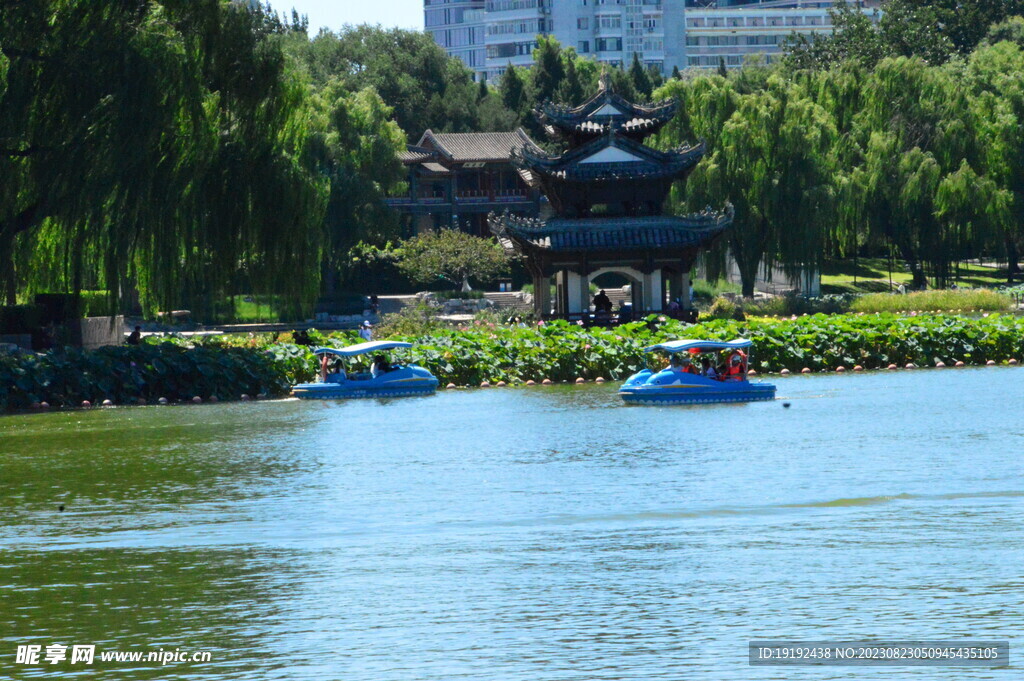 公园风景 