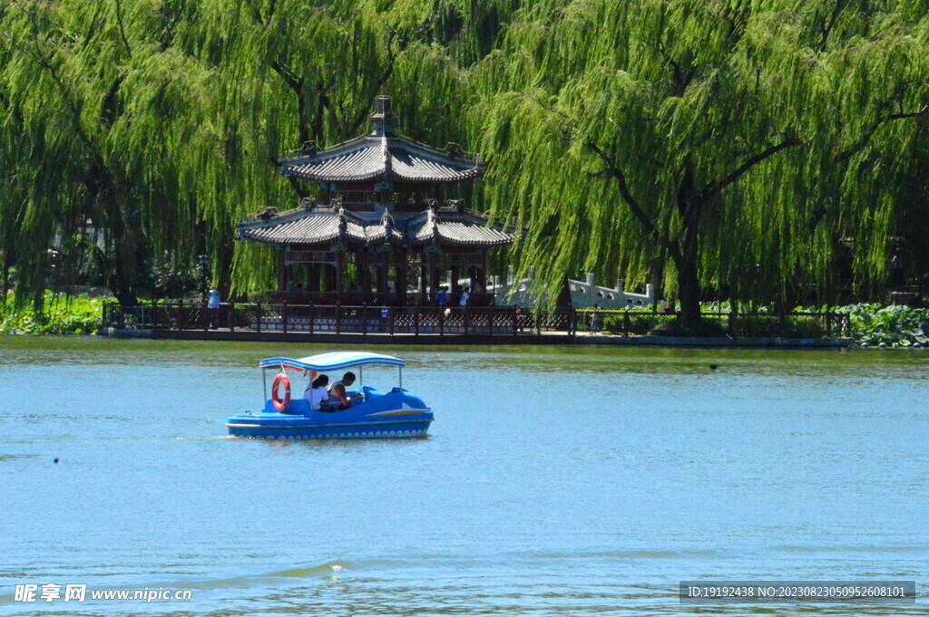 公园风景  