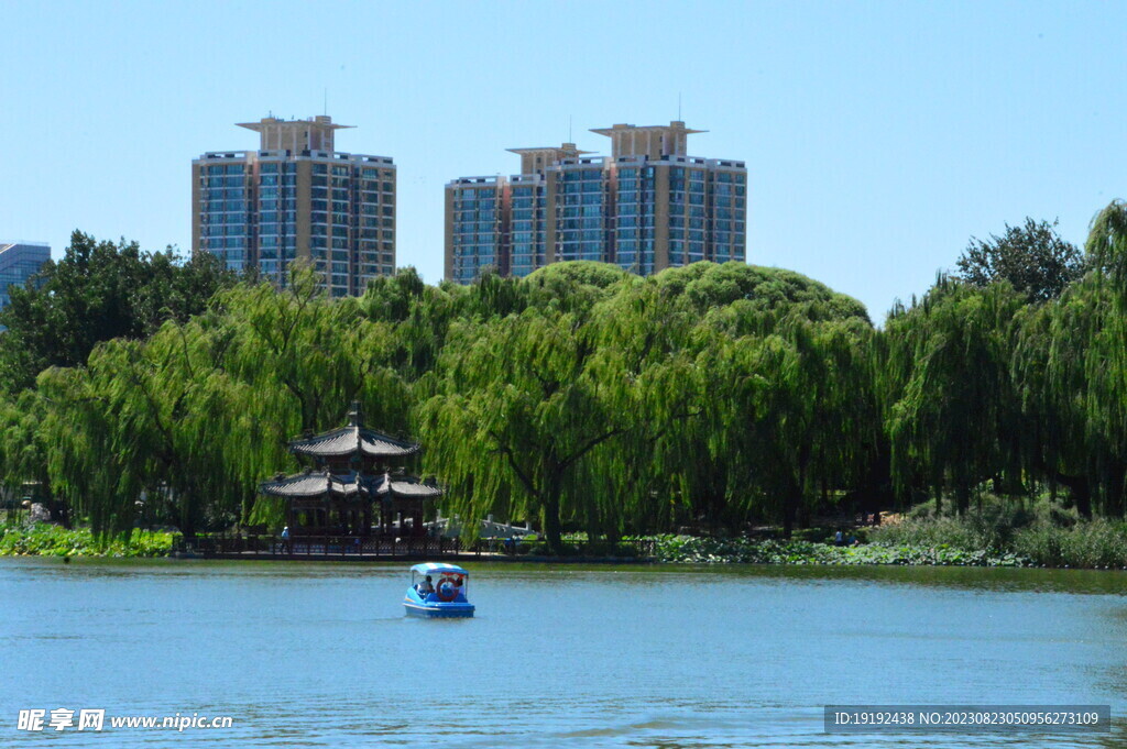 公园风景
