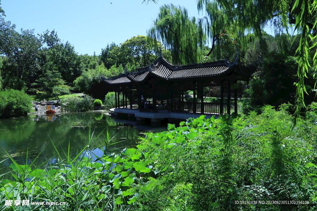 公园风景 