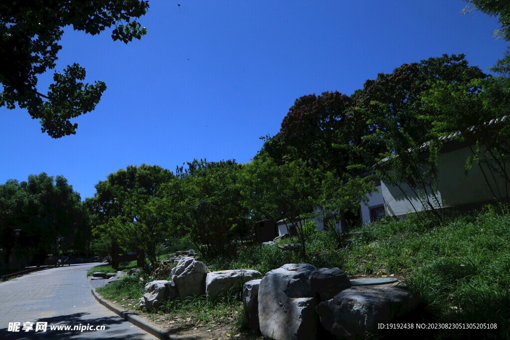 公园风景