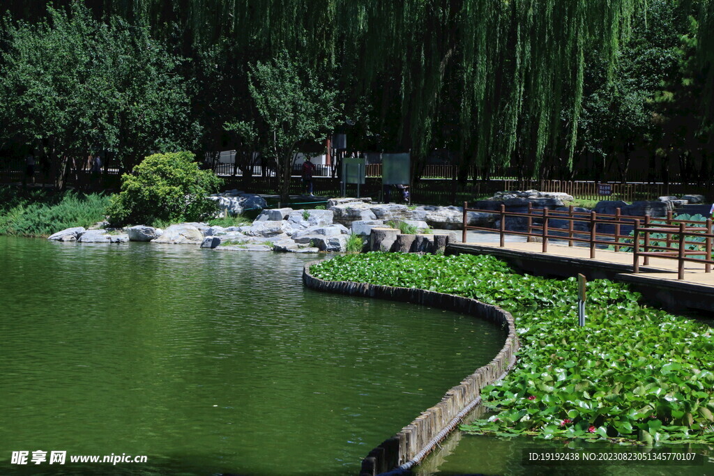 公园风景