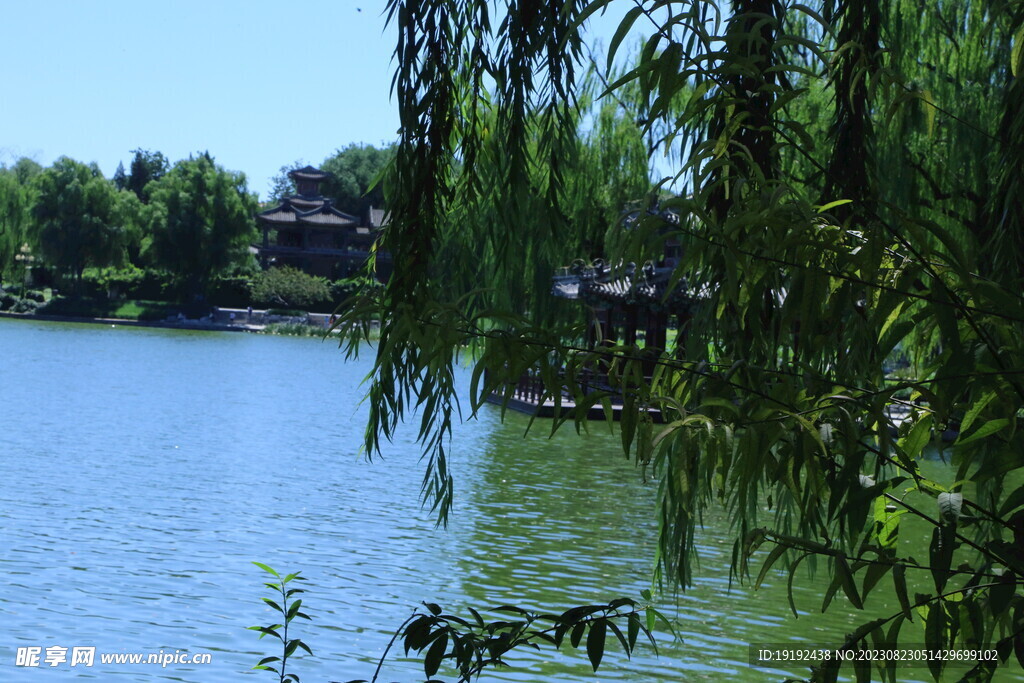 公园风景 