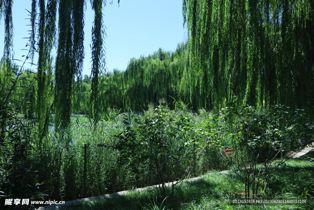 公园风景 