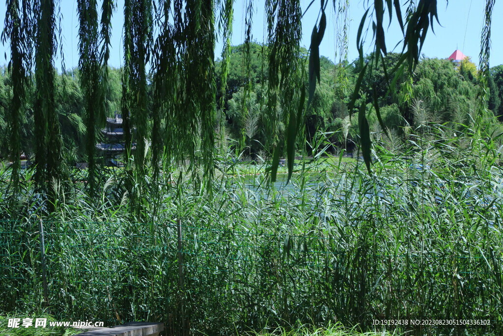 公园风景 