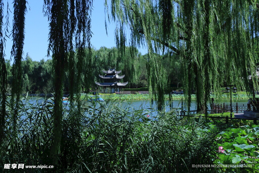 公园风景 