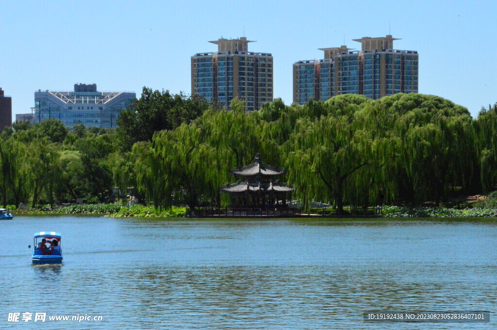公园风景
