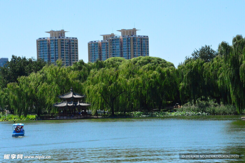 公园风景