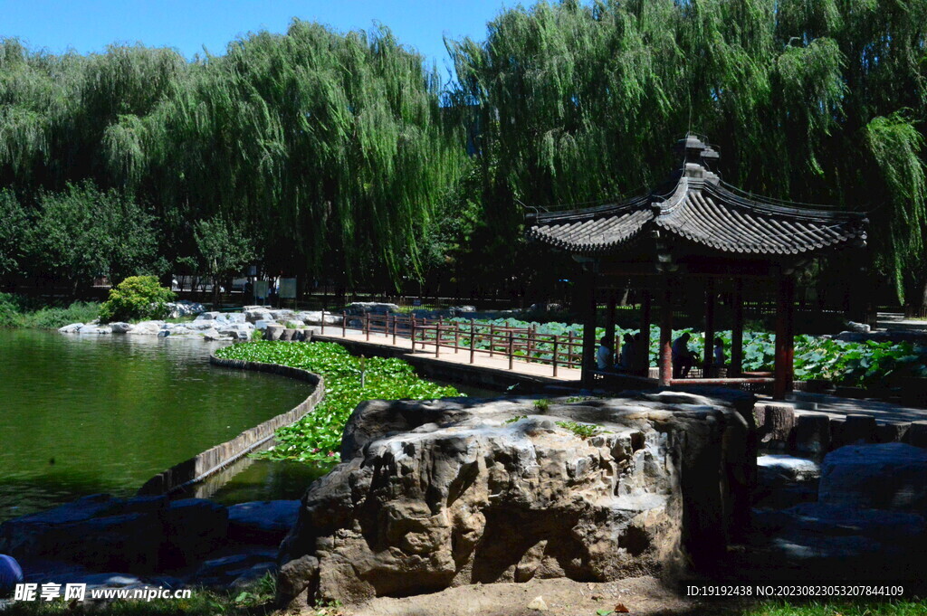 公园风景