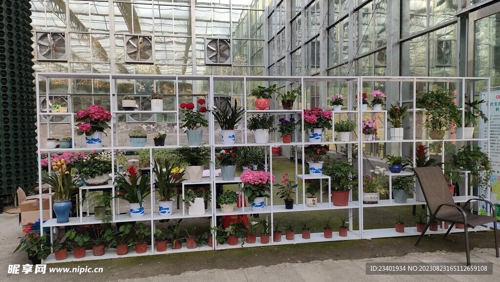 白色铁艺花卉架子