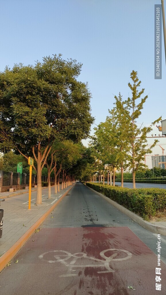 人行道绿化带骑行道