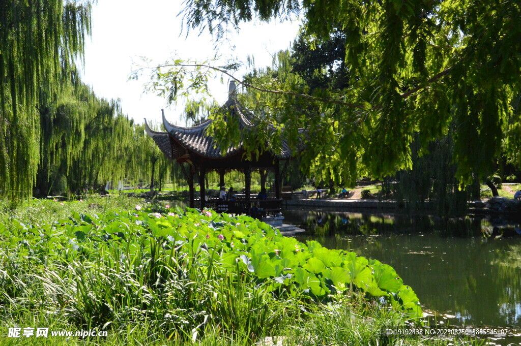 公园风景