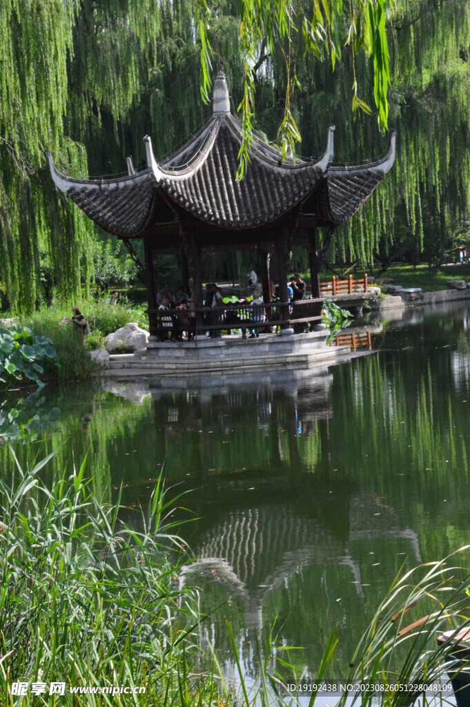 公园风景 