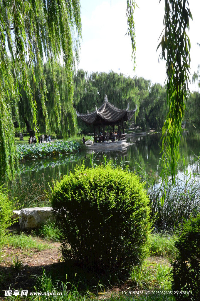 公园风景