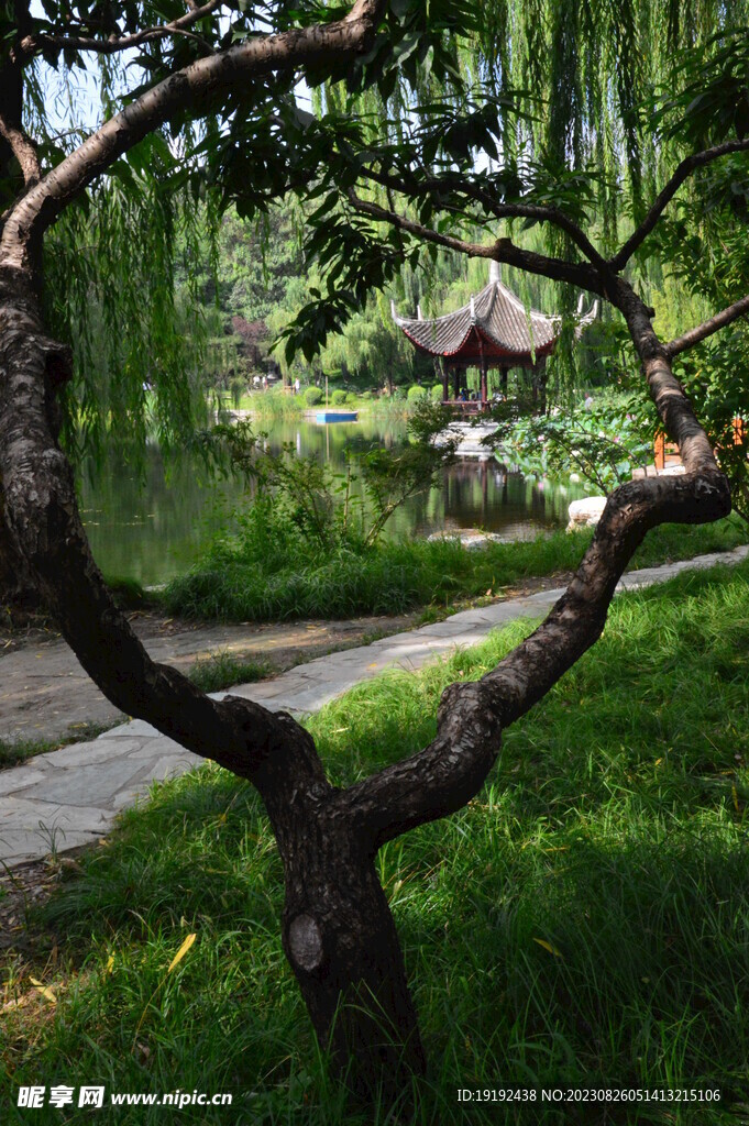公园风景 