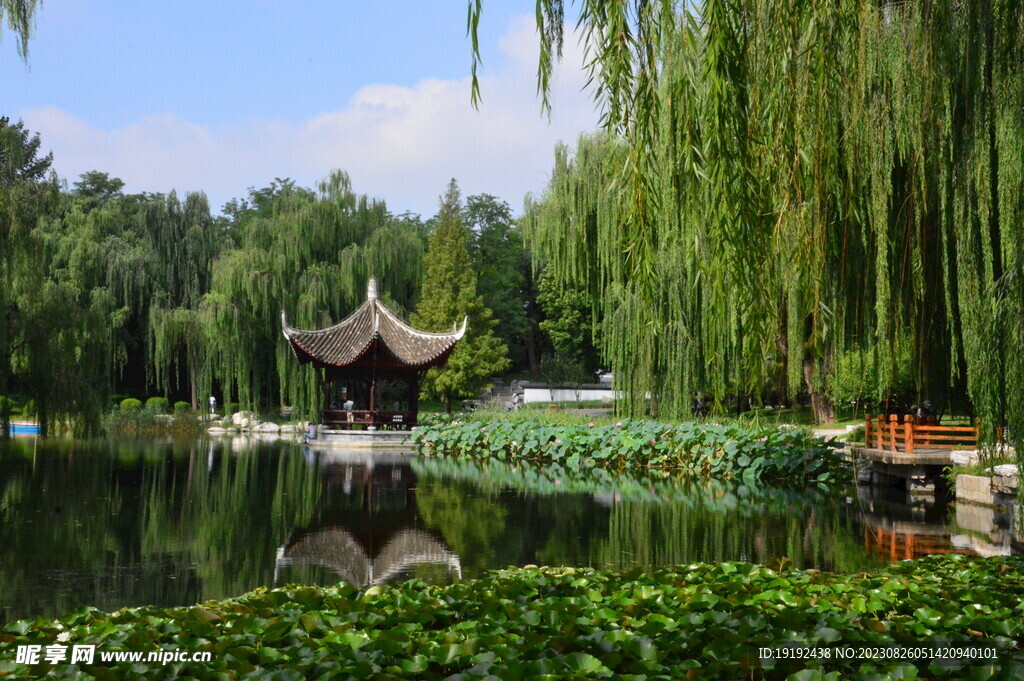 公园风景