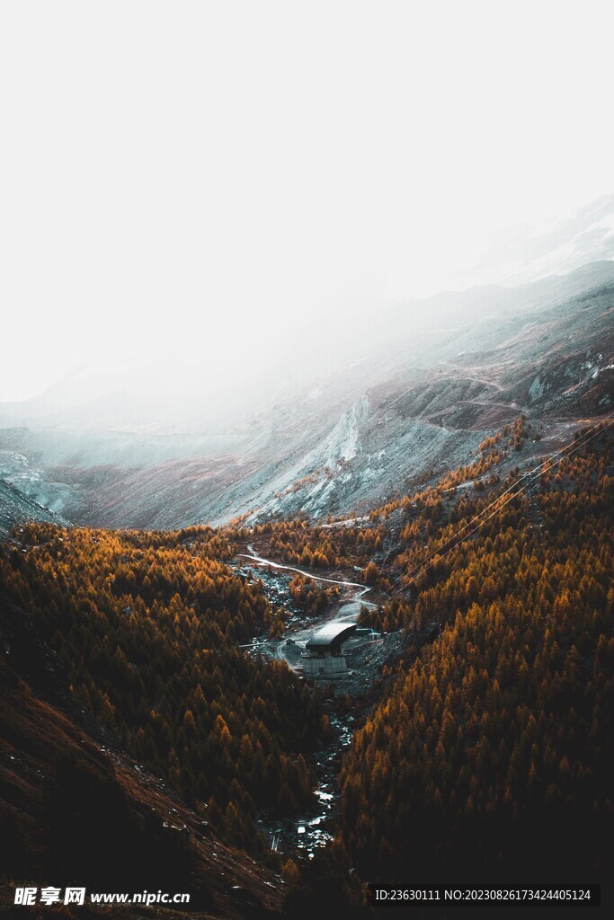 山