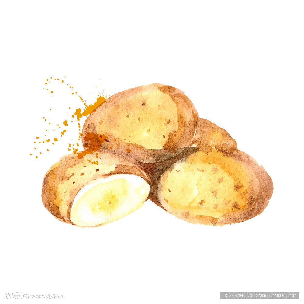 手绘蔬菜  
